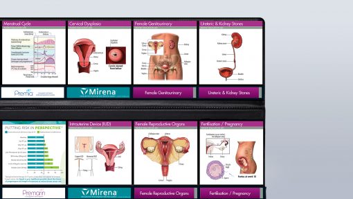 Gynaecology diagrams